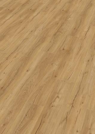 Enia Sorex Oak Living Nature 34650 400